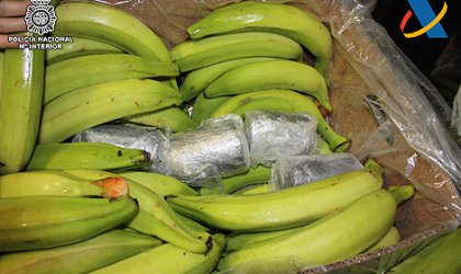 EspaÃ±a encuentra 1,4 toneladas de cocaÃ­na en plÃ¡tanos de Ecuador