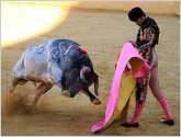 Ni�as y ni�os menores de 12 a�os no podr�n ingresar a corridas de toros