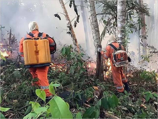 El Amazonas, una maravilla ecolÃ³gica en peligro