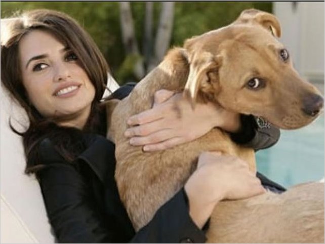 La prÃ³xima generaciÃ³n de la electrÃ³nica nos permitira la comunicaciÃ³n con los animales.