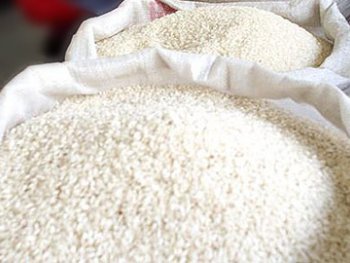 Arroceros buscan incremento en saca