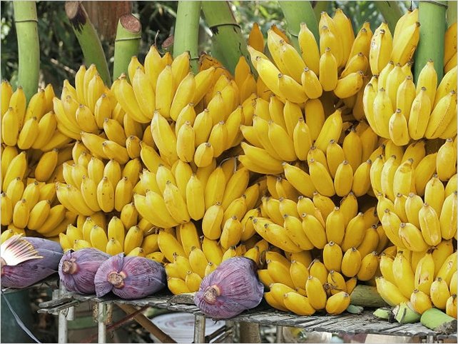 El sector bananero de Ecuador aspira a romper el rÃ©cord de exportaciones