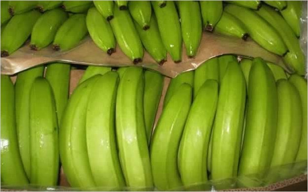 Ecuador, BÃ©lgica y Holanda investigan envÃ­o de 8 toneladas cocaÃ­na a Europa