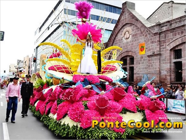 El ComitÃ© permanente convoca a participaciÃ³n en el diseÃ±o de alegorÃ­as para carros alegÃ³ricos FFF 2016
