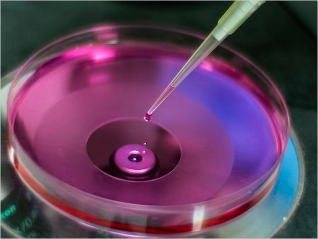 CÃ³mo recuperar la salud con las cÃ©lulas madre; cÃ³mo romper el ciclo de sufrimiento