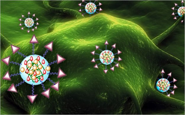 Nanotransbordadores para la cura del cÃ¡ncer de vejiga