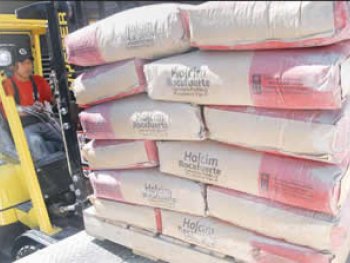 La demada de cemento afectada por la crisis