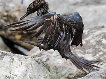 Chevron entrega videos a la Procuraduria, pero no facilita acceso a quien los grabo