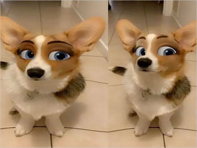Â¿CÃ³mo utilizar el filtro de Snapchat que convierte a tu perrito en personaje de Disney?