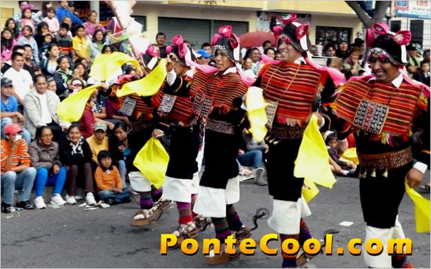 Con total Ã©xito y multitud de espectadores se realizÃ³ el Corso de las Flores y la Alegria 2013
