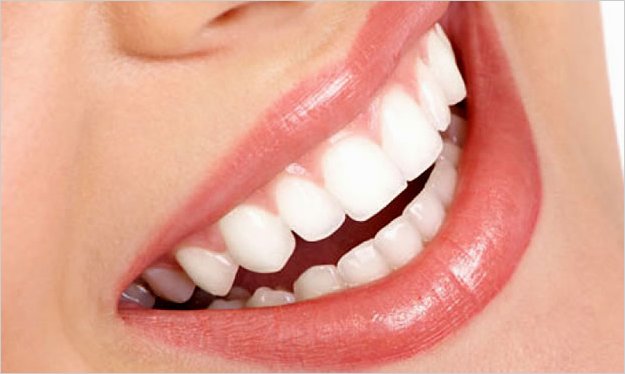 Con cÃ©lulas madre crean dientes naturales, dentro de la misma boca
