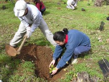 Alemania ofrece aporte de $50 millones para proyecto ecolÃ³gico en Ecuador