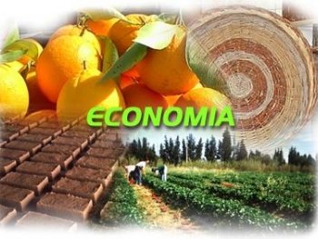 SuperÃ¡vit cuenta corriente balanza pagos Ecuador cae en 2do trimestre