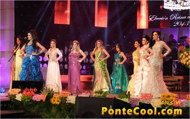 El ComitÃ© Permanente iniciÃ³ el concurso abierto 