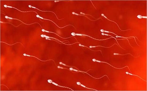 Investigadores crean anticonceptivo masculino que se aplica como lociÃ³n