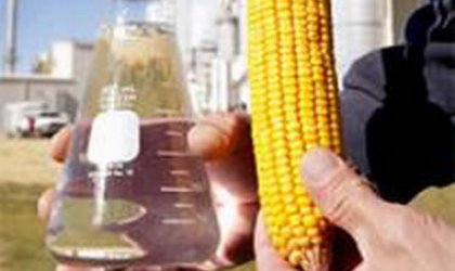 Comienza Ecuador a producir gasolina con etanol