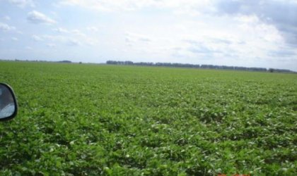 Acuerdan Ecuador y Argentina cooperaciÃ³n agrÃ­cola