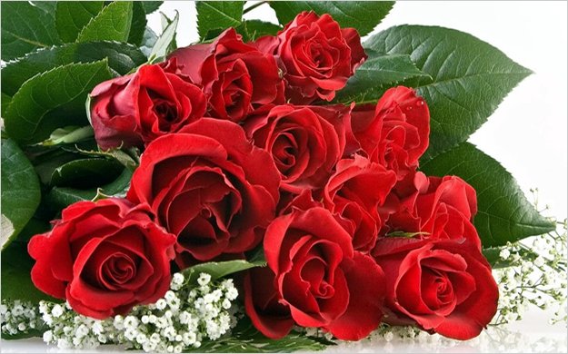 Ecuador exportÃ³ 12.700 toneladas de flores para San ValentÃ­n