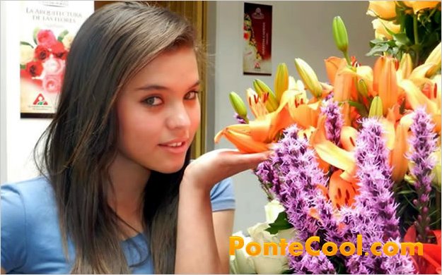 Ambato se viste de flores para su fiesta