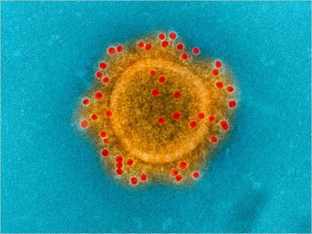 Coronavirus: CÃ³mo es y cÃ³mo ataca al organismo