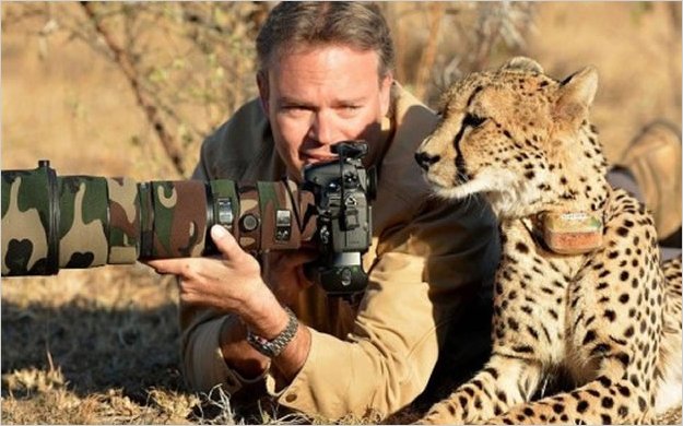 Guepardo tiene conmovedor encuentro con fotÃ³grafo 