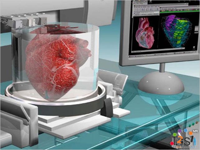 El prÃ³ximo paso en la impresiÃ³n en 3D: los Ã³rganos humanos