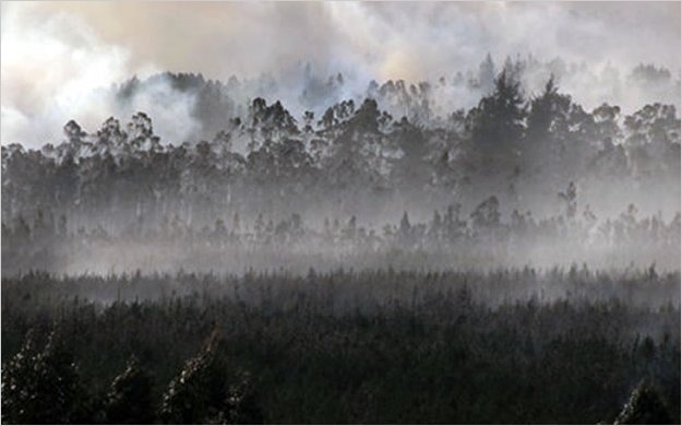 Azotado por el fuego Parque Nacional Cotopaxi, de Ecuador