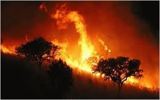 Incendio afecta unas 600 hectÃ¡reas en norte de Ecuador