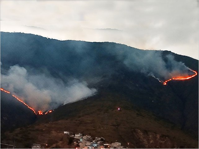 En Ecuador 200 efectivos combaten incendio forestal en Quito