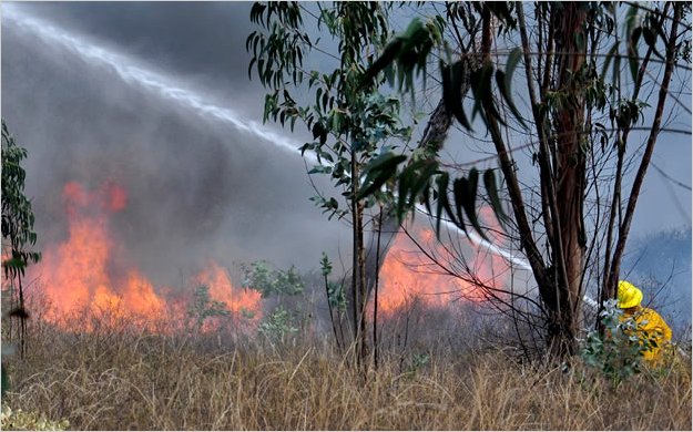 Los incendios llegan a zonas urbanas de Quito y provocan el pÃ¡nico de los habitantes