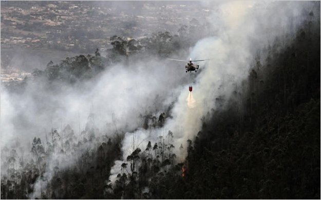 Quito: mÃ¡s de 100 hectÃ¡reas de bosque son afectadas por los incendios