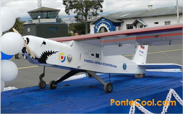 La CIDFAE realiza proyectos e investigaciÃ³n en ChachoÃ¡n