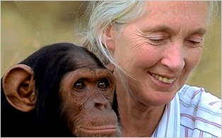 Jane Goodall, una vida dedicada a los animales y a la defensa del planeta