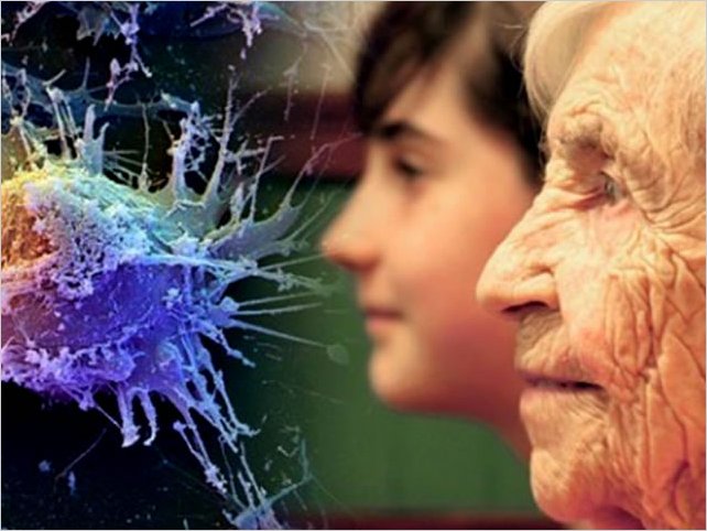 Descubren un medicamento que es capaz de revertir el envejecimiento