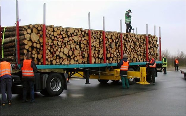 En Tungurahua la PolicÃ­a decomisa producto forestal