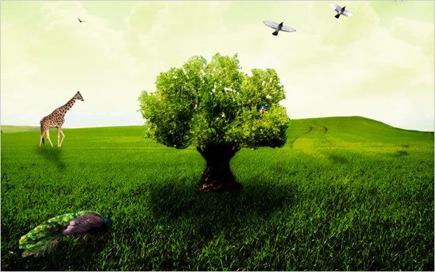 Una agenda para salvar la Madre Tierra, todos debemos aportar y defenderla