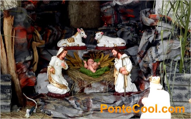 El mundo entero vive la Navidad, el amor es comÃºn en todos los lugares