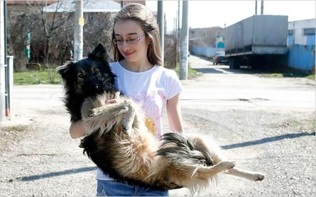 La niÃ±a que utiliza Facebook para salvar perros