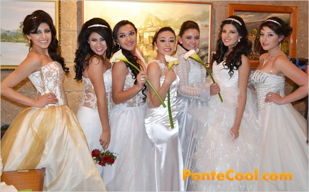 Desfile de vestidos de novia 