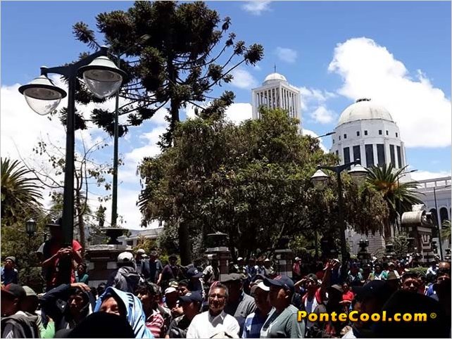 El Gremio de Transporte Urbano se une al Paro IndÃ­gena en Ecuador