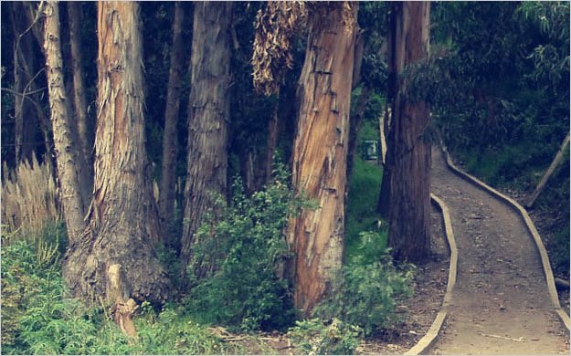 Minga ciudadana renovÃ³ el paseo ecolÃ³gico de Ambato