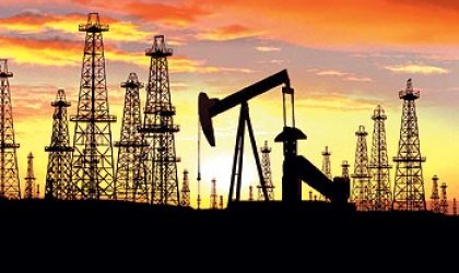 Petroleras privadas duplicarÃ¡n inversiÃ³n en Ecuador, en 2010