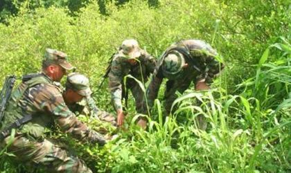 Plan Colombia se cerrarÃ¡ en seis meses si no da resultados