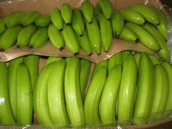 UE hace nueva oferta a LatinoamÃ©rica para bajar arancel de banano