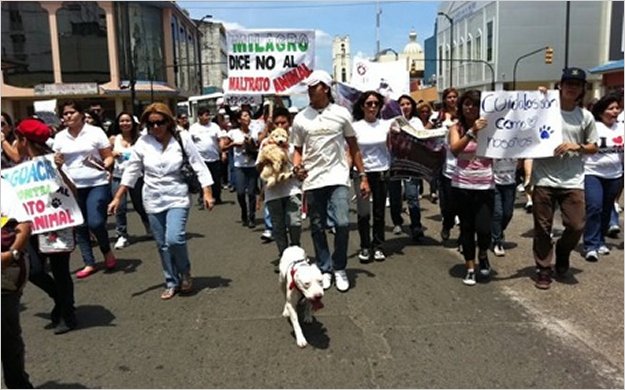 Guayaquil y Quito protestaron contra el maltrato animal