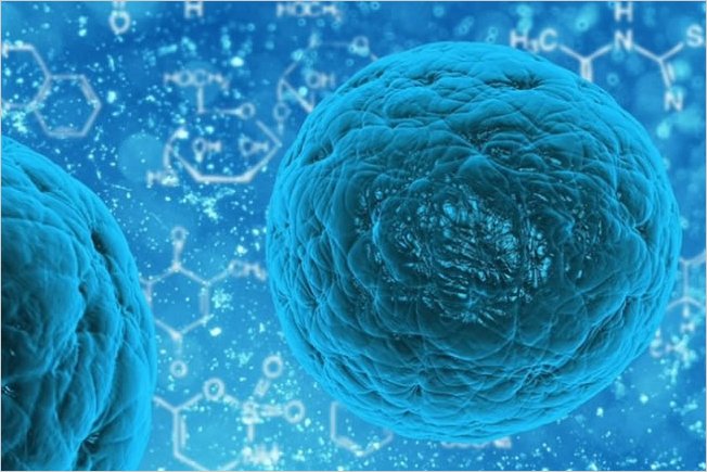 CientÃ­ficos chinos regeneran un pulmÃ³n con cÃ©lulas madre