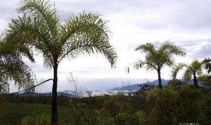 Sismo de 4,1 gradis en la Amazonia del Ecuador