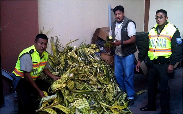 La PolicÃ­a Nacional realizÃ³ operativo de decomiso de palma de ramos