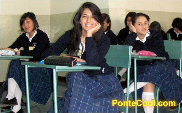 El Colegio Santo Domingo de GuzmÃ¡n preparado para afrontar un nuevo reto