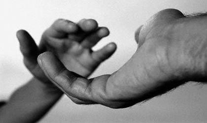 La sustituciÃ³n de patrones por solidaridad
